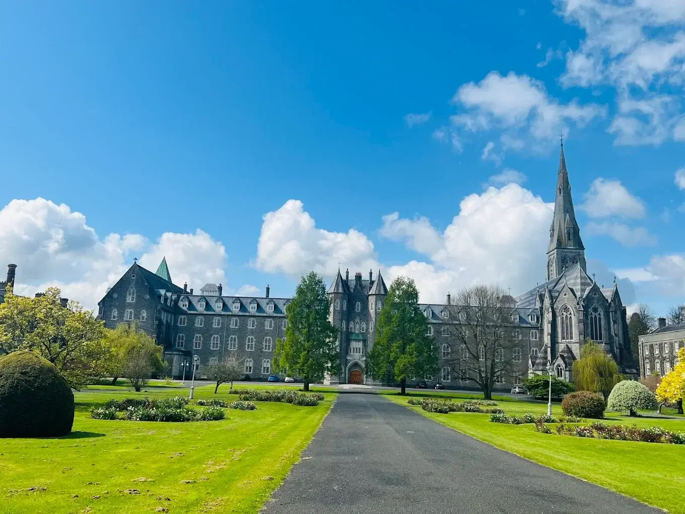 Study in IRELAND