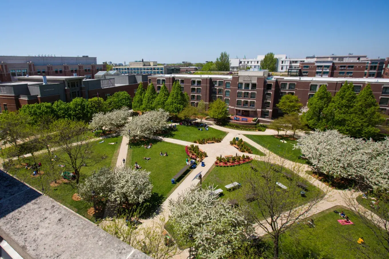 Study in USA